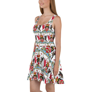 Trinidad coat of arms Skater Dress
