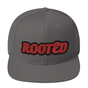 Snapback Hat - ROOTED BRAND 