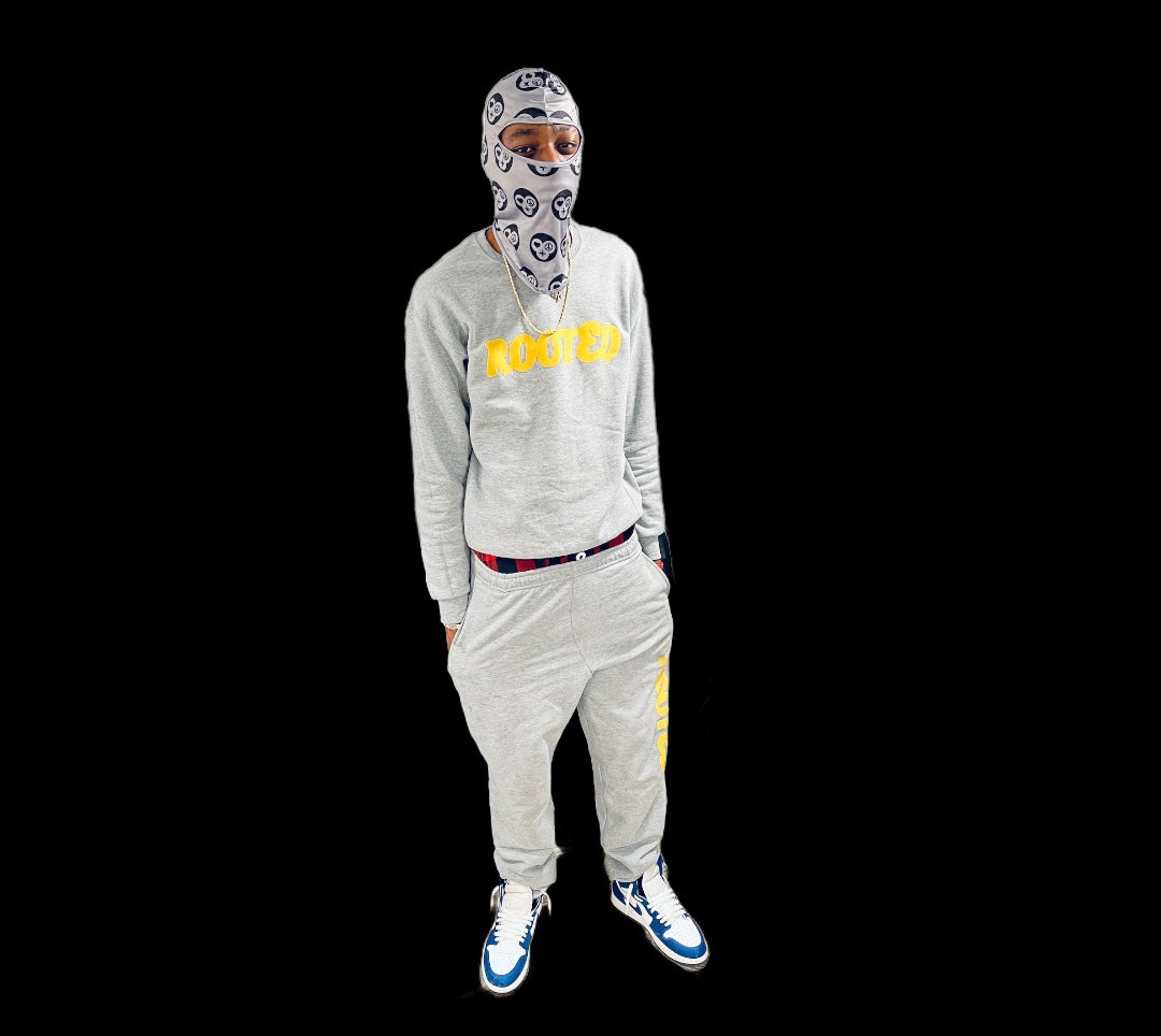 Face mask/Ski mask