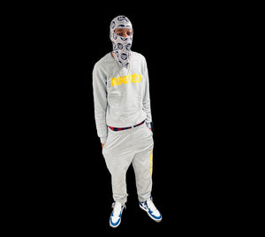Face mask/Ski mask