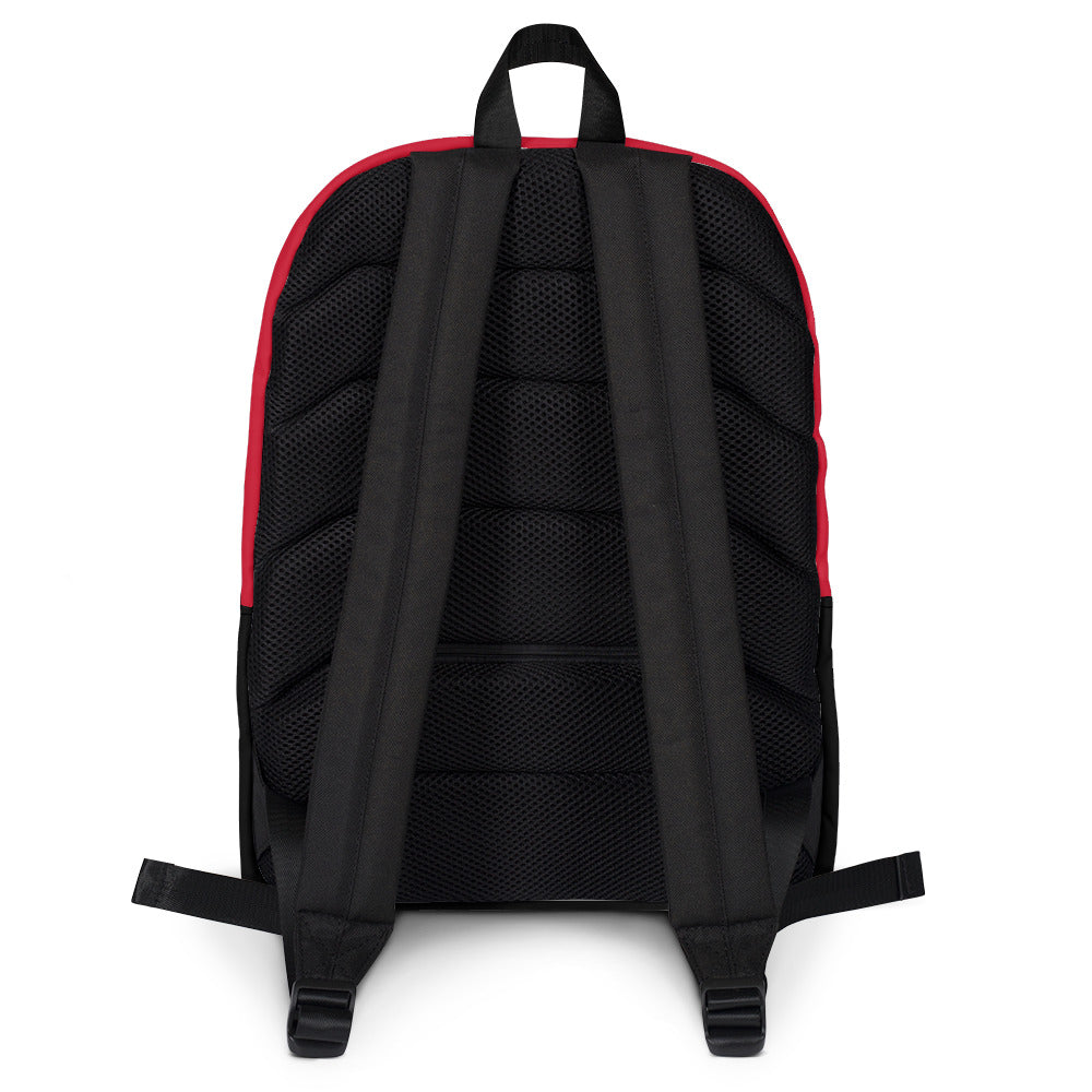 Guyana flag Backpack - ROOTED BRAND 