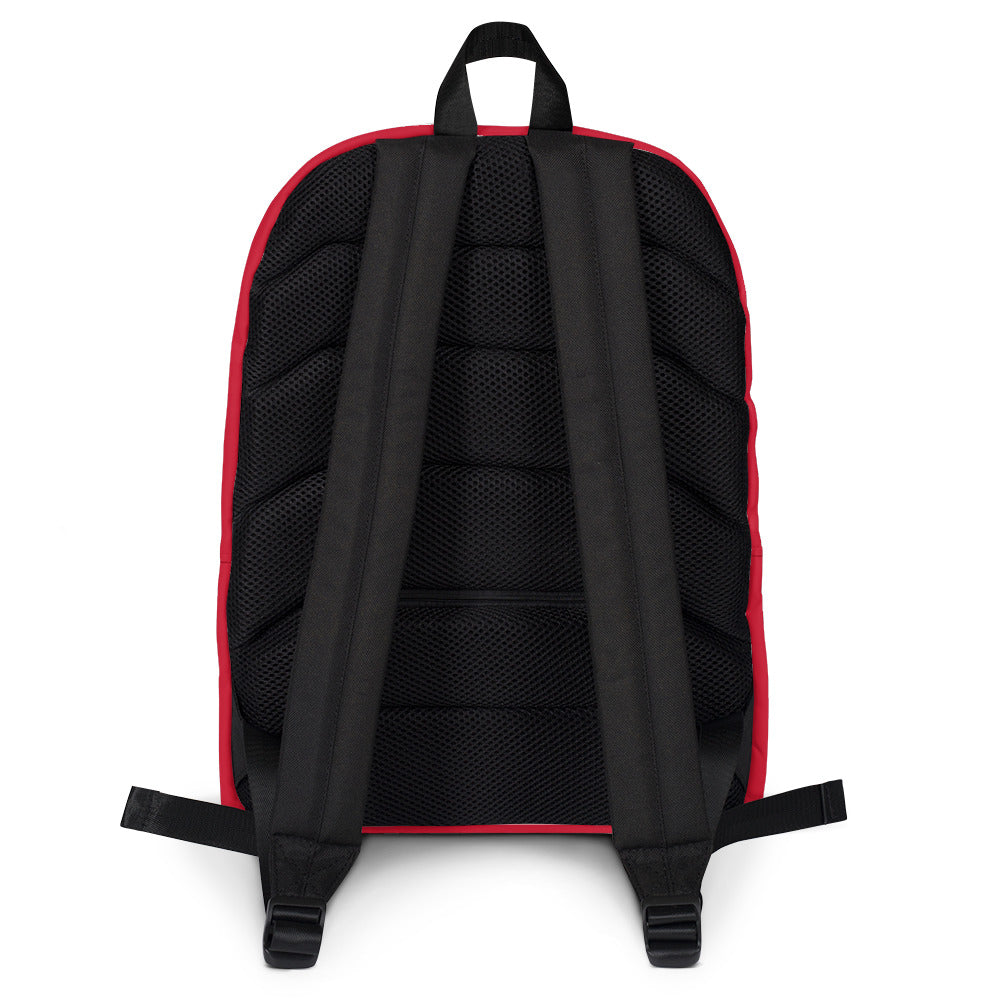 Guyana flag Backpack - ROOTED BRAND 